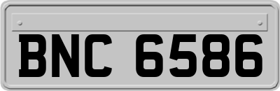 BNC6586