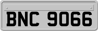 BNC9066