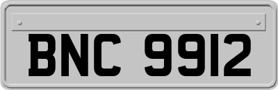 BNC9912