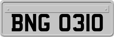 BNG0310