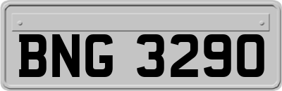 BNG3290