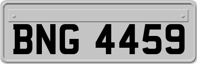 BNG4459