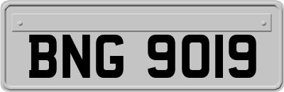 BNG9019
