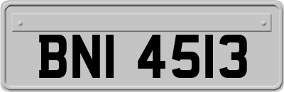 BNI4513