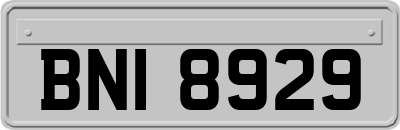 BNI8929