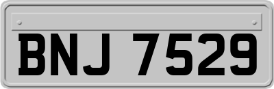 BNJ7529