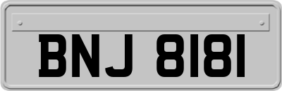 BNJ8181