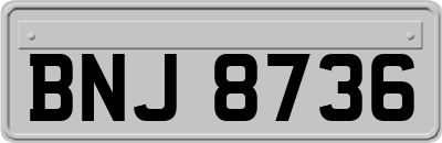 BNJ8736