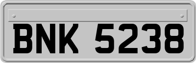 BNK5238