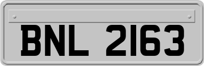 BNL2163