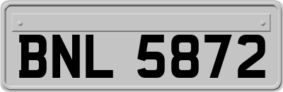 BNL5872