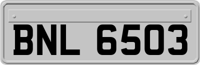 BNL6503