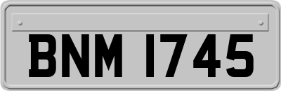 BNM1745