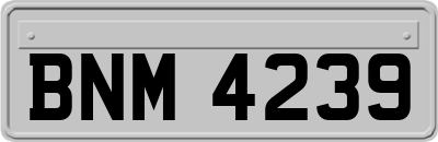 BNM4239