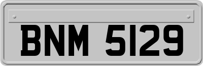 BNM5129
