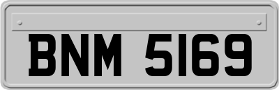 BNM5169