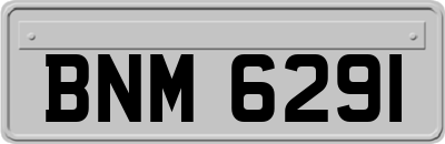 BNM6291