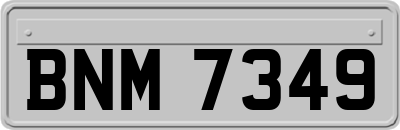 BNM7349