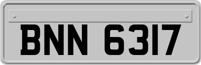 BNN6317