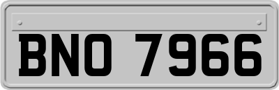 BNO7966