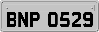 BNP0529