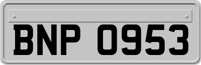 BNP0953