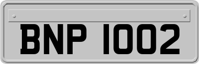 BNP1002