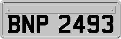 BNP2493