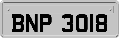 BNP3018