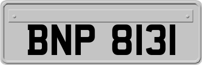BNP8131