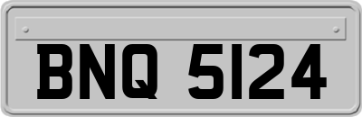 BNQ5124