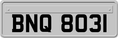 BNQ8031