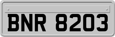 BNR8203