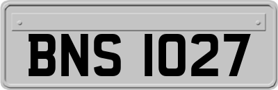 BNS1027
