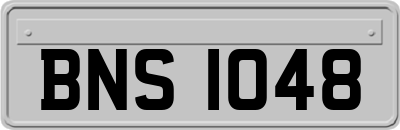BNS1048
