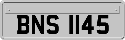 BNS1145