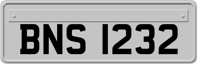 BNS1232