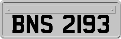 BNS2193