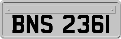BNS2361