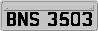 BNS3503