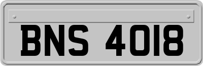 BNS4018