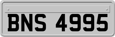 BNS4995