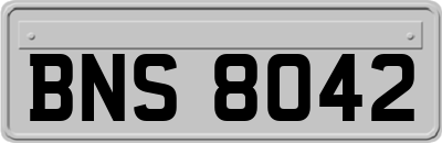 BNS8042