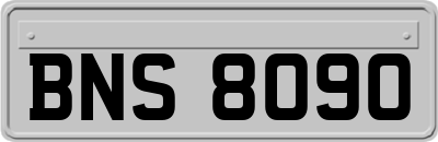 BNS8090
