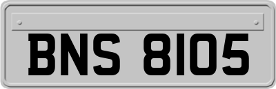 BNS8105