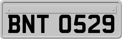 BNT0529