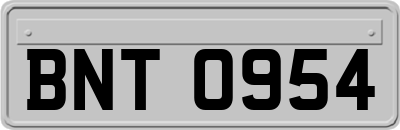 BNT0954