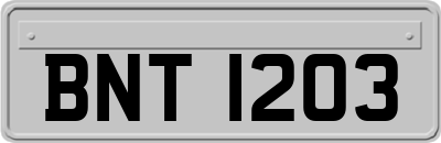 BNT1203