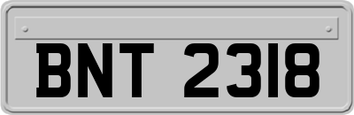 BNT2318