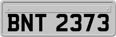 BNT2373